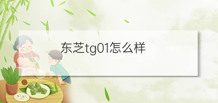 东芝tg01怎么样？