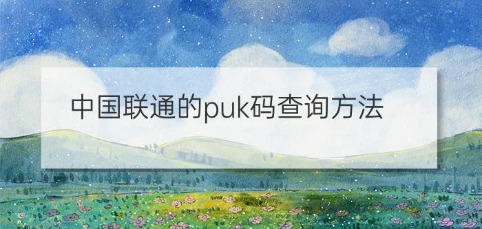 中国联通的puk码查询方法