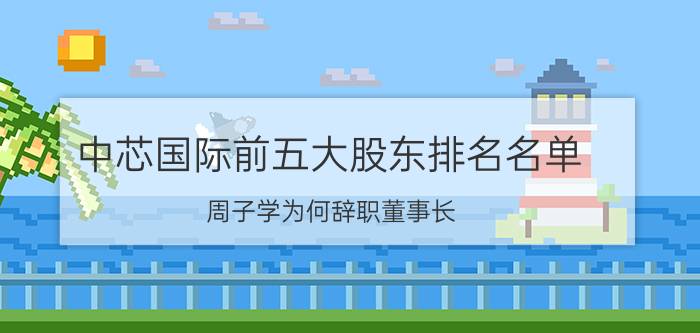 中芯国际前五大股东排名名单，周子学为何辞职董事长？