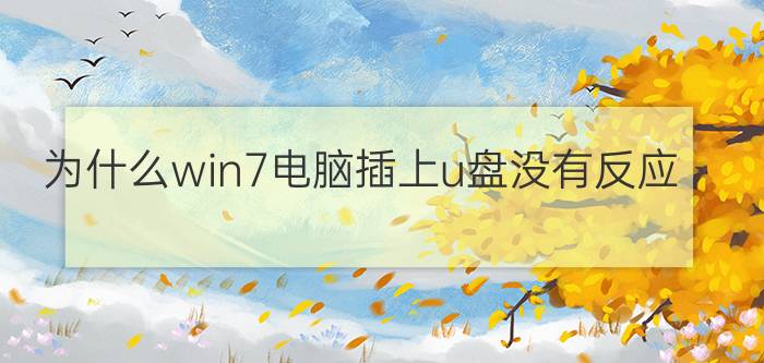 为什么win7电脑插上u盘没有反应