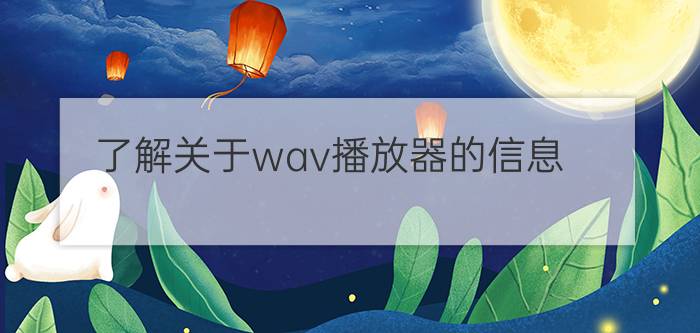 了解关于wav播放器的信息