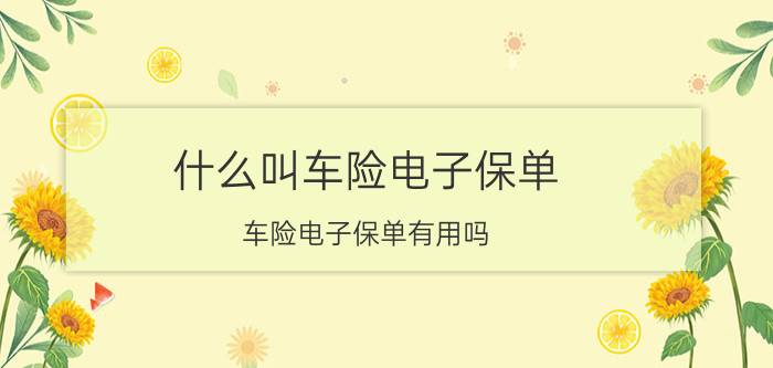 什么叫车险电子保单？车险电子保单有用吗？