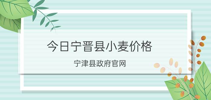 今日宁晋县小麦价格（宁津县政府官网）