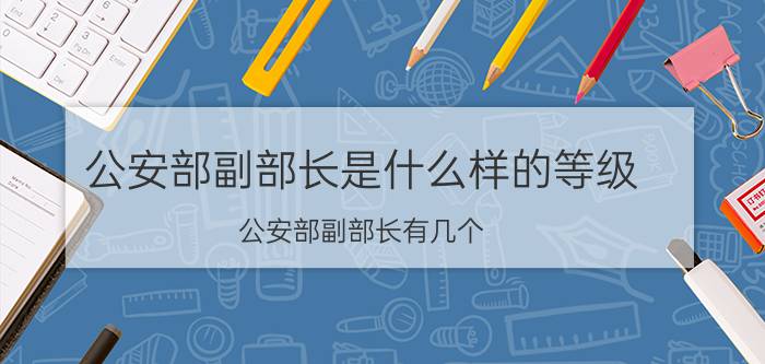 公安部副部长是什么样的等级（公安部副部长有几个）