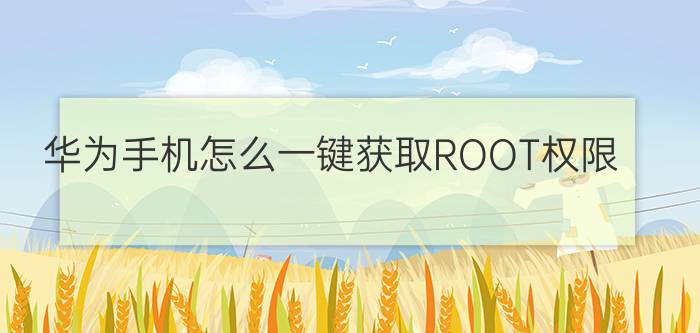 华为手机怎么一键获取ROOT权限