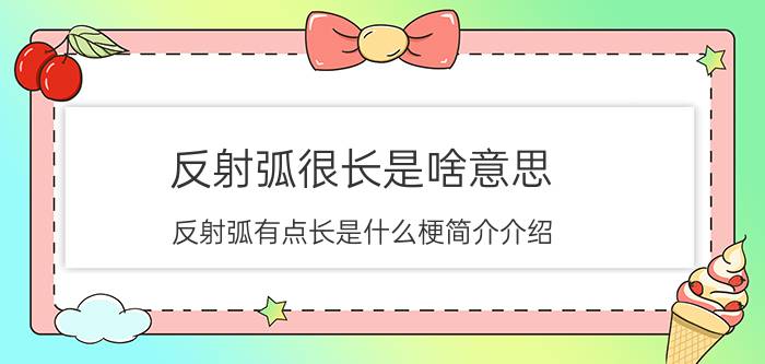 反射弧很长是啥意思（反射弧有点长是什么梗简介介绍）