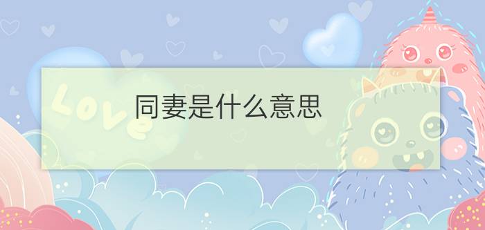 同妻是什么意思