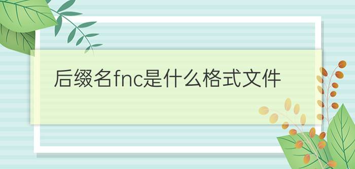 后缀名fnc是什么格式文件