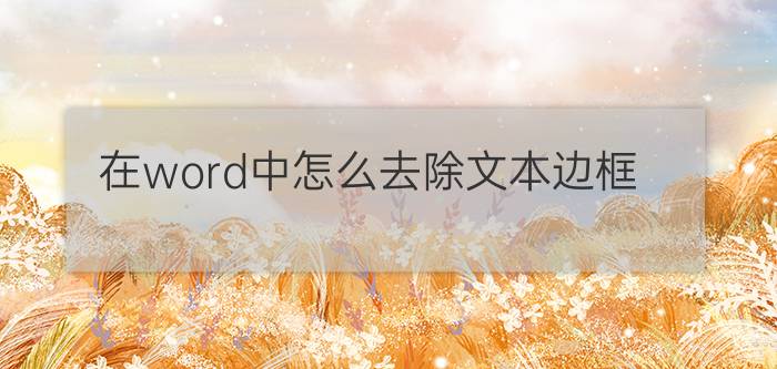 在word中怎么去除文本边框