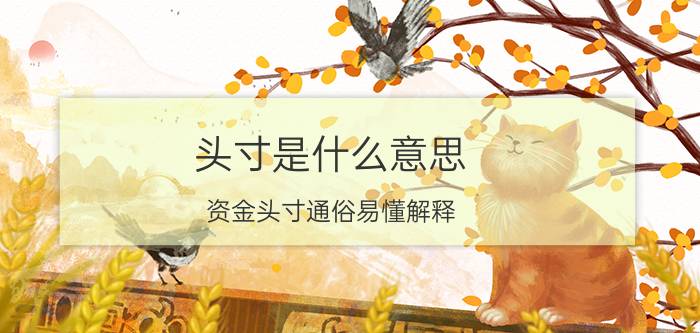 头寸是什么意思（资金头寸通俗易懂解释）