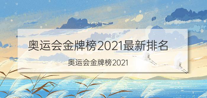 奥运会金牌榜2021最新排名（奥运会金牌榜2021）