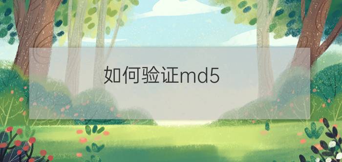 如何验证md5