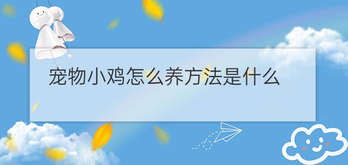 宠物小鸡怎么养方法是什么