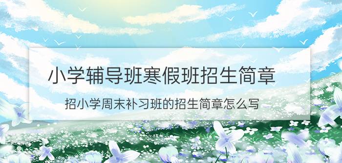 小学辅导班寒假班招生简章（招小学周末补习班的招生简章怎么写）