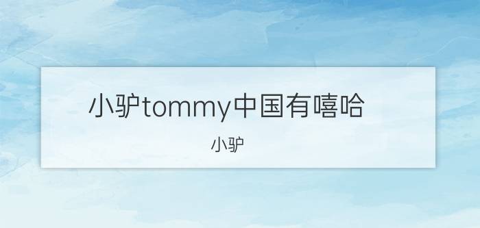 小驴tommy中国有嘻哈（小驴-Tommy）