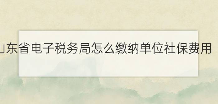 山东省电子税务局怎么缴纳单位社保费用