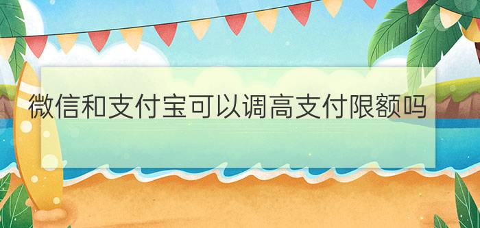 微信和支付宝可以调高支付限额吗