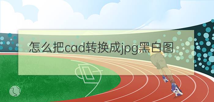 怎么把cad转换成jpg黑白图