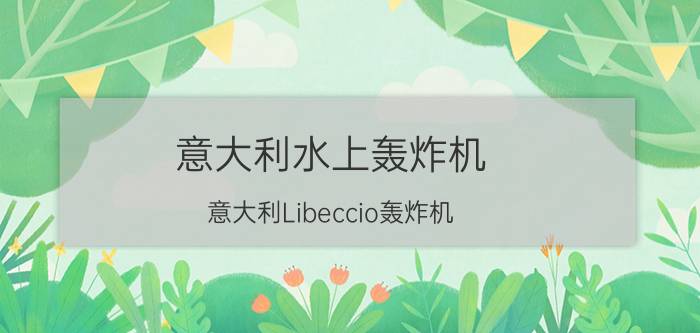 意大利水上轰炸机（意大利Libeccio轰炸机）