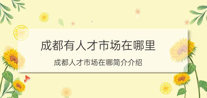 成都有人才市场在哪里（成都人才市场在哪简介介绍）