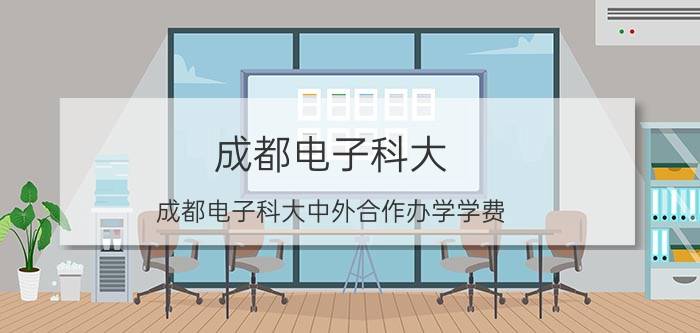 成都电子科大(成都电子科大中外合作办学学费)