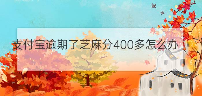 支付宝逾期了芝麻分400多怎么办