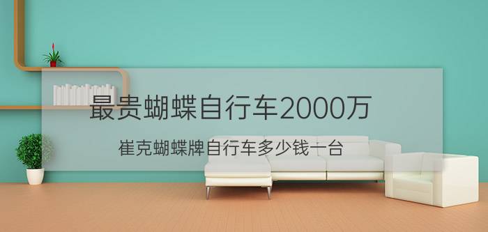 最贵蝴蝶自行车2000万（崔克蝴蝶牌自行车多少钱一台）