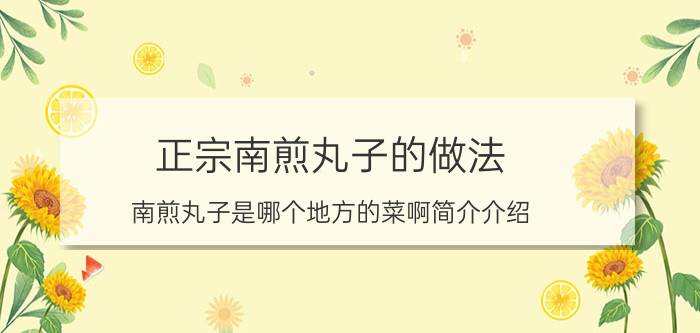 正宗南煎丸子的做法（南煎丸子是哪个地方的菜啊简介介绍）