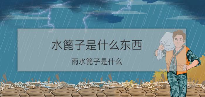 水篦子是什么东西(雨水篦子是什么)