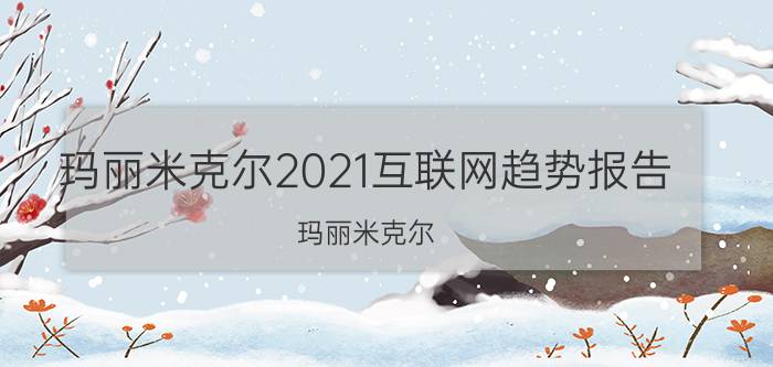 玛丽米克尔2021互联网趋势报告（玛丽米克尔）