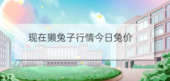 现在獭兔子行情今日兔价