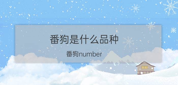 番狗是什么品种（番狗number）