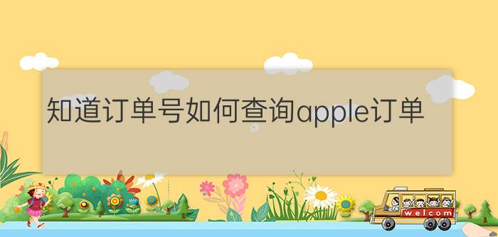 知道订单号如何查询apple订单