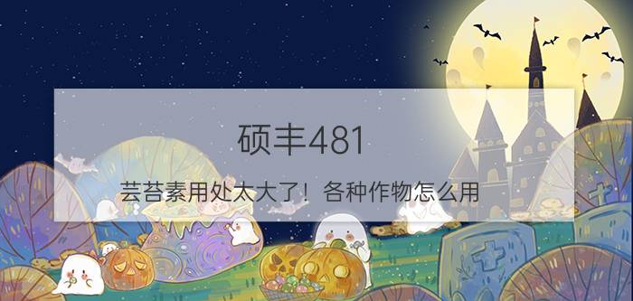 硕丰481（芸苔素用处太大了！各种作物怎么用？看完再也不求人）