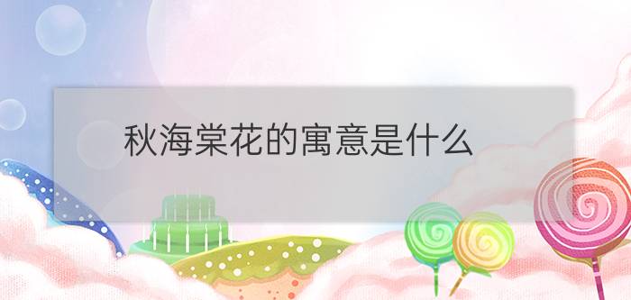 秋海棠花的寓意是什么