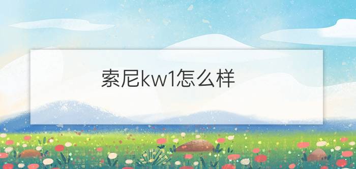 索尼kw1怎么样？