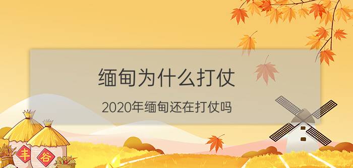 缅甸为什么打仗（2020年缅甸还在打仗吗）