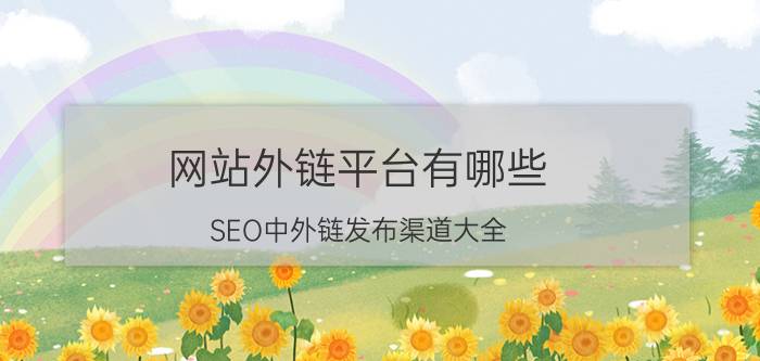 网站外链平台有哪些（SEO中外链发布渠道大全）