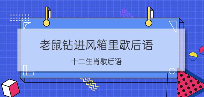 老鼠钻进风箱里歇后语（十二生肖歇后语）