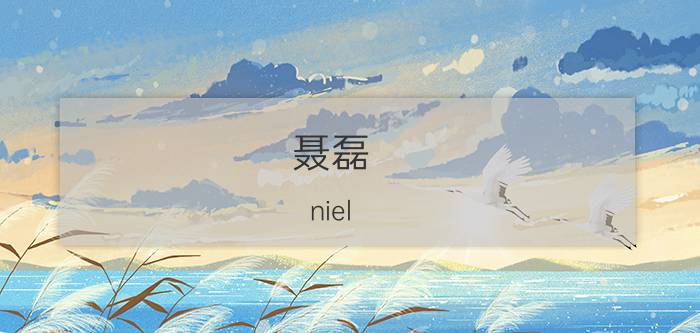 聂磊（niel）