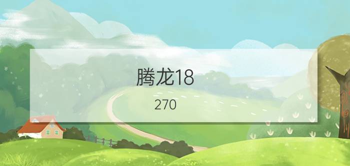 腾龙18-270(腾龙18-270镜头怎么样)