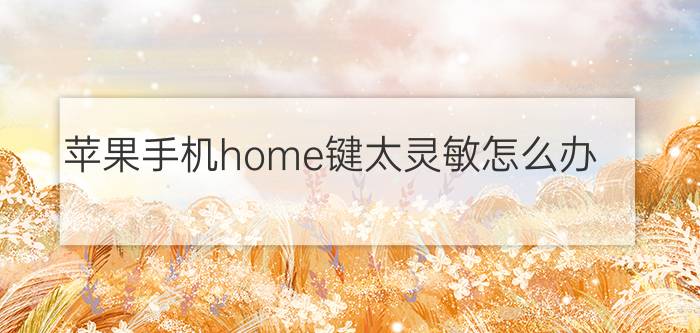 苹果手机home键太灵敏怎么办