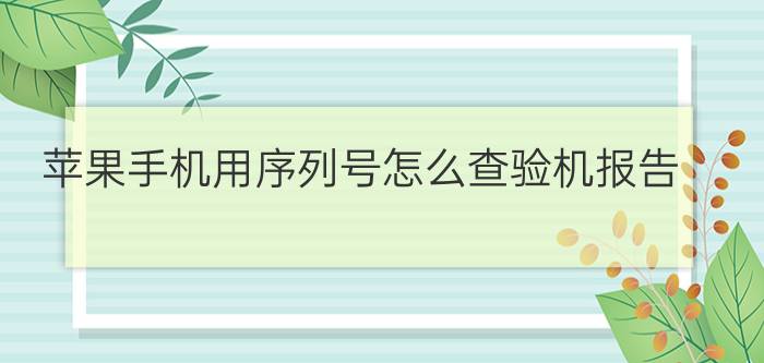 苹果手机用序列号怎么查验机报告