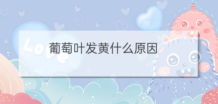 葡萄叶发黄什么原因