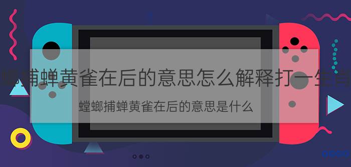 螳螂捕蝉黄雀在后的意思怎么解释打一生肖（螳螂捕蝉黄雀在后的意思是什么）