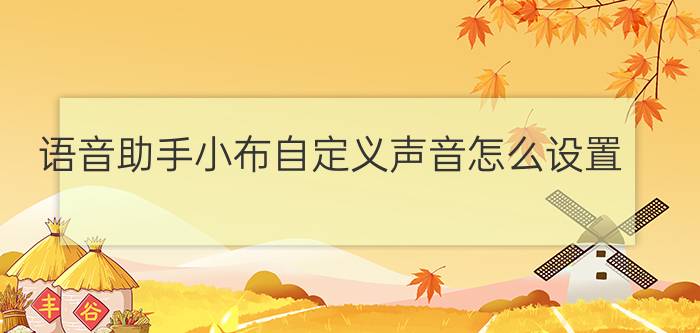 语音助手小布自定义声音怎么设置