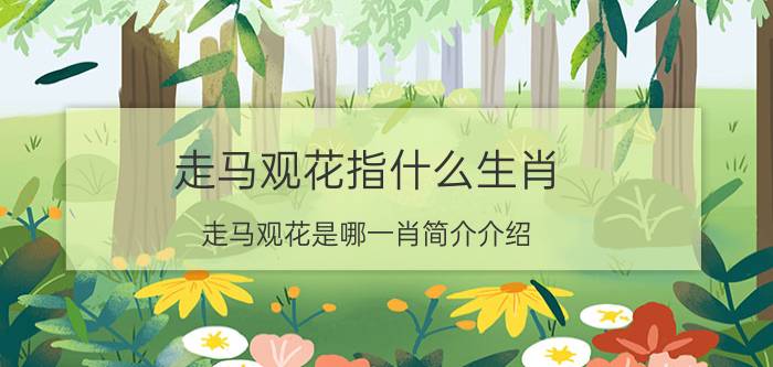 走马观花指什么生肖（走马观花是哪一肖简介介绍）