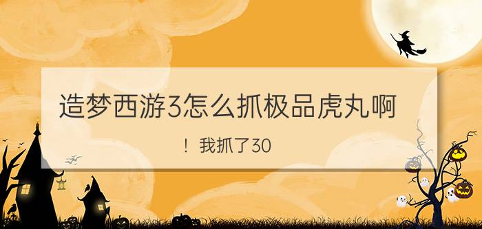 造梦西游3怎么抓极品虎丸啊（！我抓了30+次了）