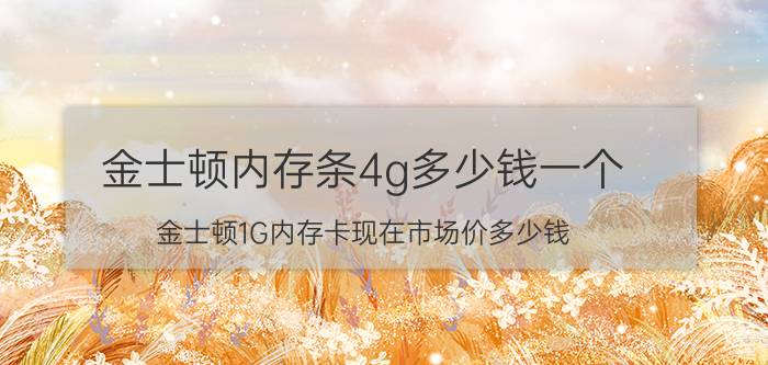 金士顿内存条4g多少钱一个（金士顿1G内存卡现在市场价多少钱）