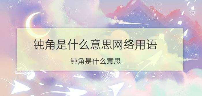 钝角是什么意思网络用语（钝角是什么意思）